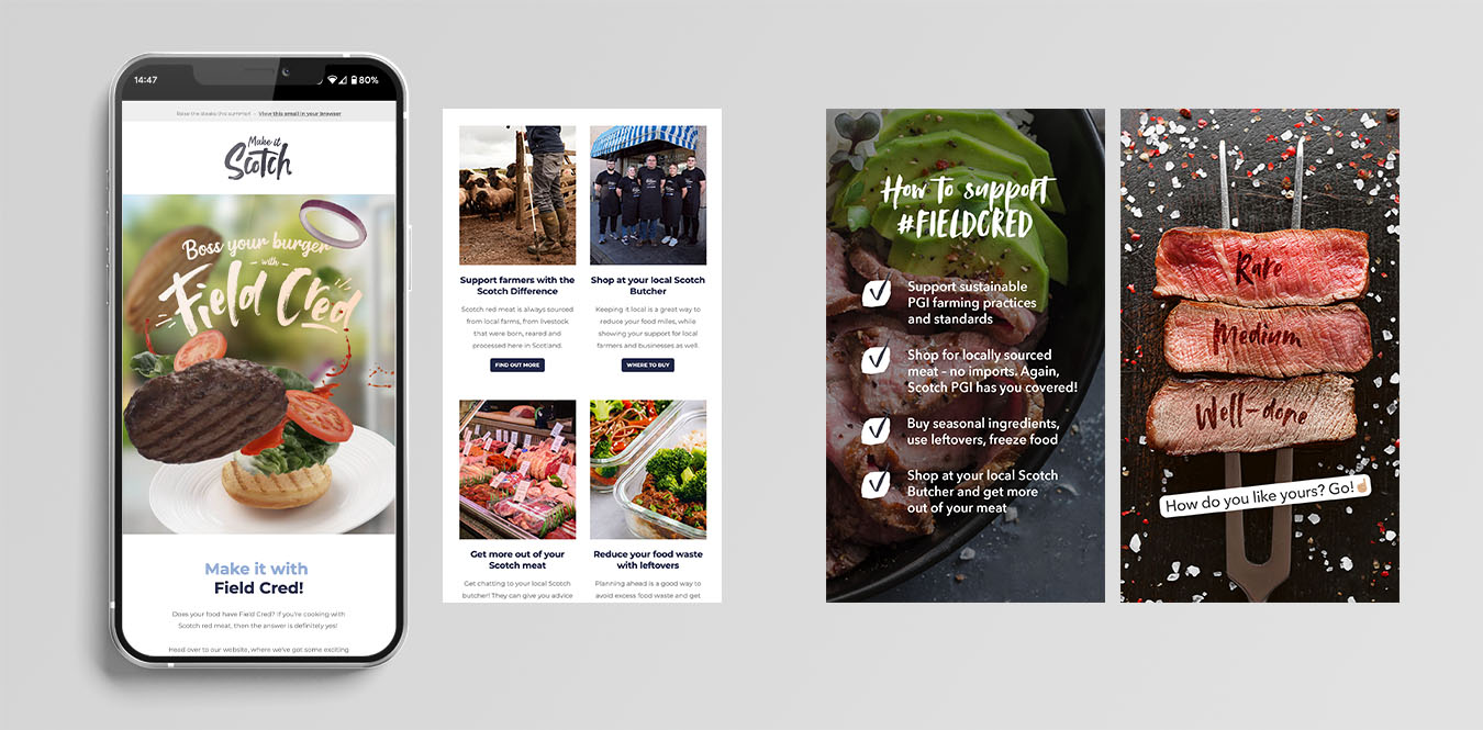 A mobile phone mockup with email newsletter designs, plus two examples of Instagram stories.